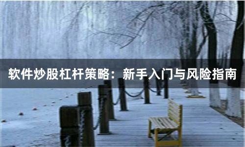 软件炒股杠杆策略：新手入门与风险指南